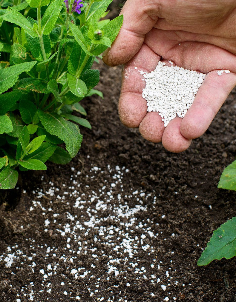 fertilizer
